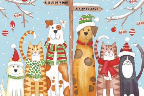 Cartoon festive cats and dogs sit underneath a wooden signpost for Hampshire and Isle of Wight Air Ambulance